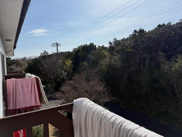 動くと暑くて久しぶりの半袖。
けど花粉センサー反応中。

#三宅島 #スナッパー #花粉