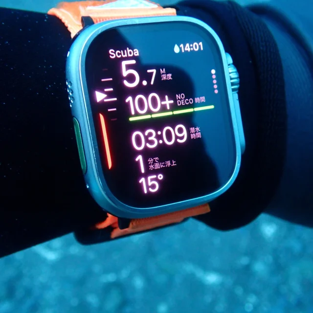 また15度！
陸がTシャツでいられるくらいだったので油断した。
https://youtu.be/5MGhV6Z1y-8?si=VN5ZNfns4CBkdJMx