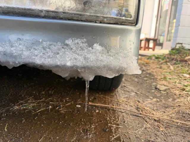 三宅島でつららを初めて見た。

#三宅島 #スナッパー