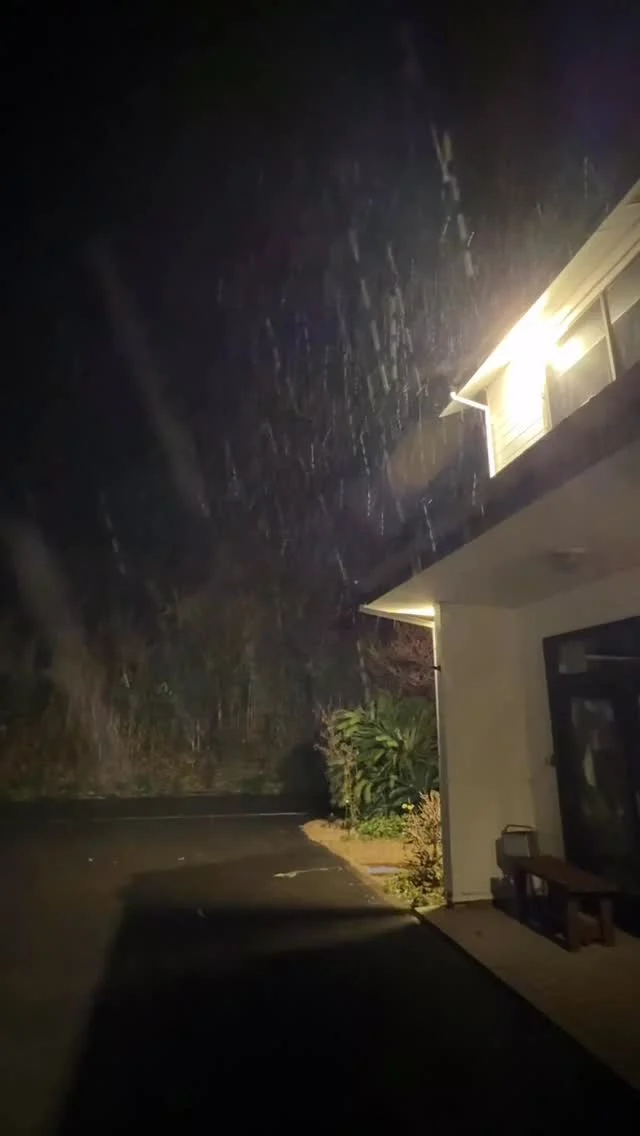 雪降ってます

#三宅島