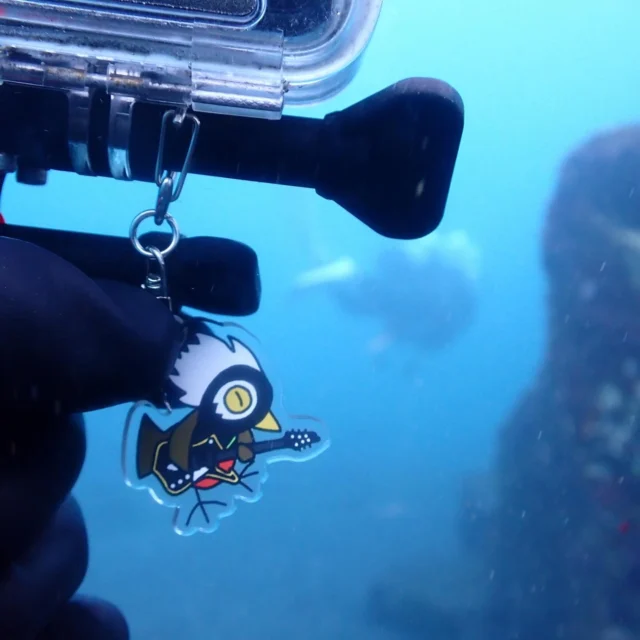 試作品メタルけじまるを水深20mの世界に連れて行ってみた。

#三宅島 #三宅島ダイビング #スナッパー #けじまる