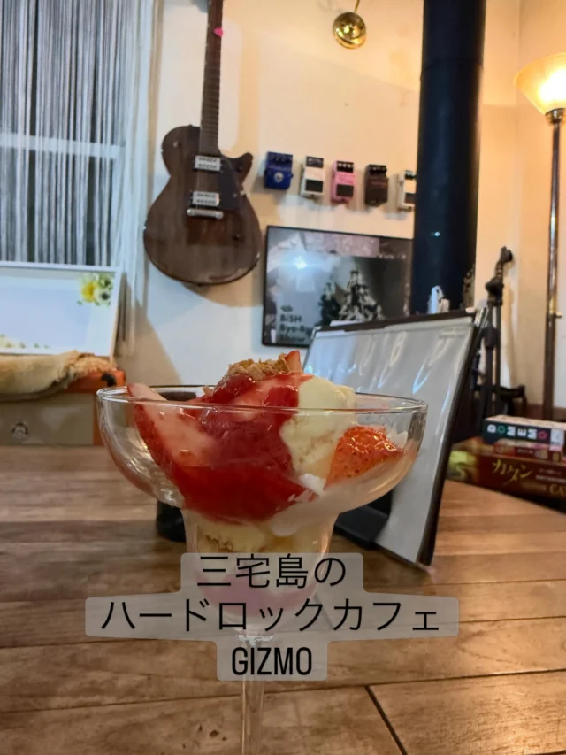 三宅島のハードロックカフェに行ってきた。

#三宅島 #gizmo