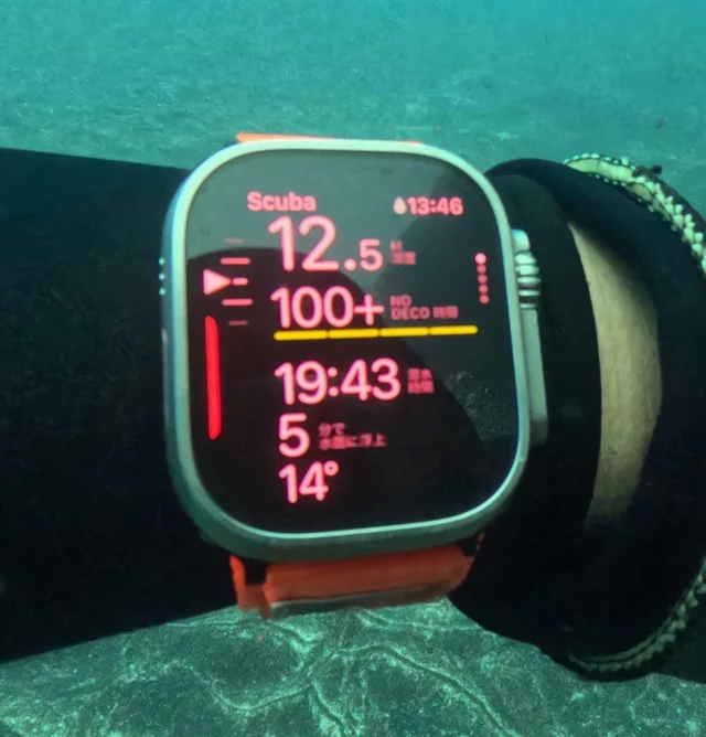 水温14怒！
少なくとも2000年以降は無かったと思う水温。

#三宅島 #三宅島ダイビング #スナッパー