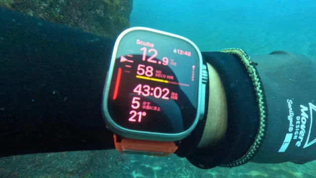 急に水温が上がり快適

#三宅島 #三宅島ダイビング  #スナッパー