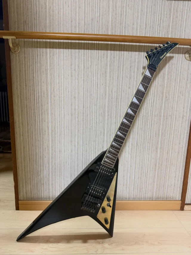 40年以上前に手に入れた、ジャンルを問うギター 笑
島とかアウトドアに全く似合わないギターだけど
いつの日か島に持って行きたい。