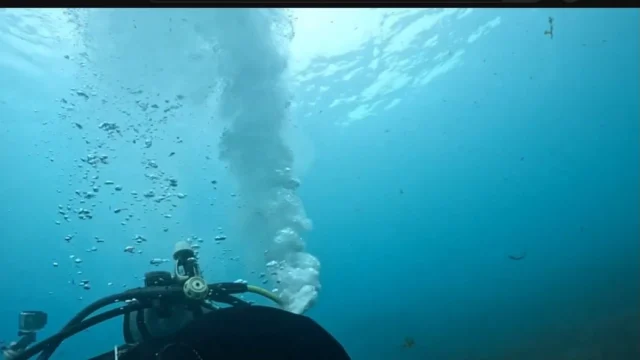安全停止中に中圧ホースが破裂。
空気漏れまくりました。
動画後半を見てみてください。
https://youtu.be/_ty8xq48JEI?si=3vRukGEW7R05_qxl

#三宅島 #三宅島ダイビング #トラブル