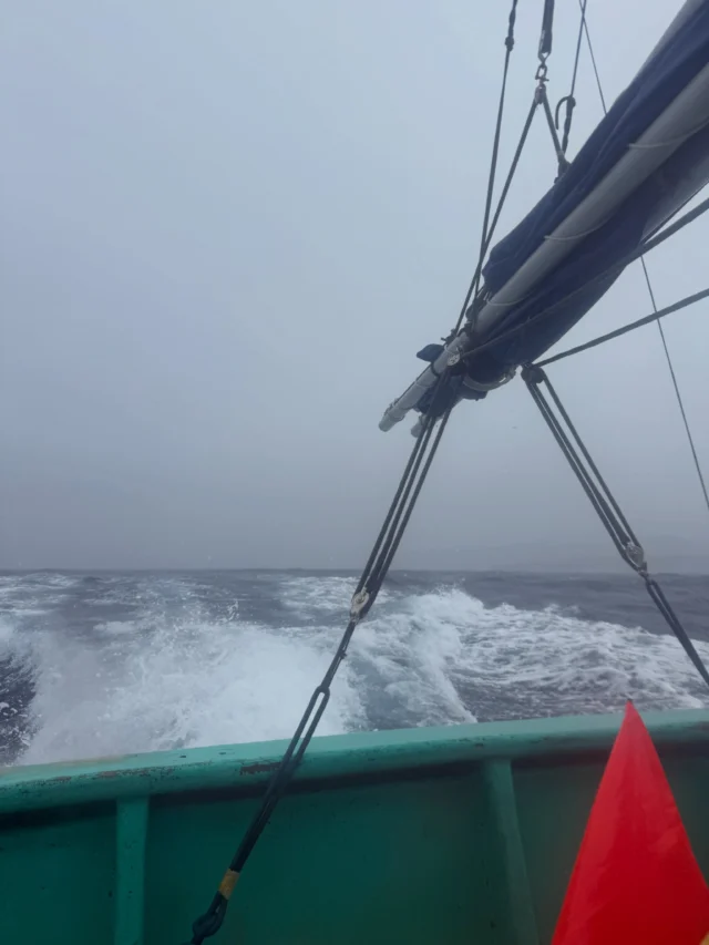 御蔵島に向けて出港。
雨と波でテンション下がり気味